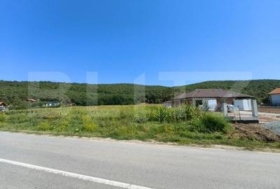 Teren intravilan, 4900 mp, zona Hapria - Ciugud - 3