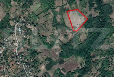 Teren de 15204 mp, în Dobrovăț - 2