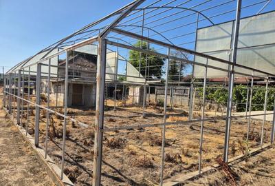 Casa cu teren impresionant in Targu Jiu - 7