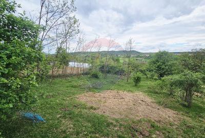 Teren Construcții intravilan de 5350 mp, în Dobreni - 18