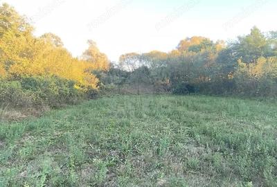 Teren de 3017 mp, în Plopu