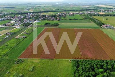 Teren intravilan cu potential de dezvoltare - str. Luncii - Baciului - 5