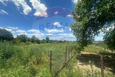 Vanzare Teren 500mp Bolintin-Vale / Strada Bancii - 2
