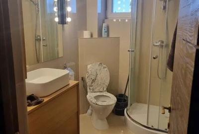 Apartament cu 2 camere nedecomandat în Curteni - 1