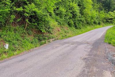 Teren de 4961 mp, în Vărădia de Mureș - 2