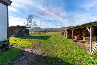 Spațiu industrial, de 650 mp, în Ribița - 11