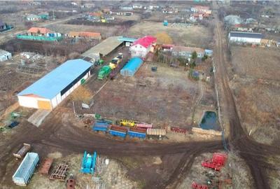 Vanzare ferma agricola Negru Voda - Constanta cu 240 hectare teren si utilaje - 29
