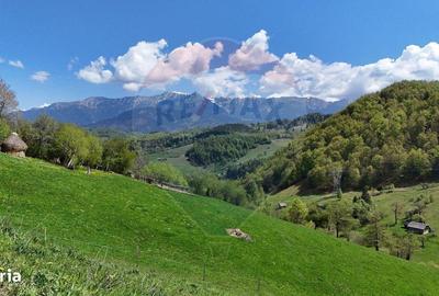 Teren de 2847 mp, în Moieciu - 4