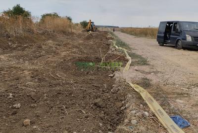Teren Construcții intravilan de 42000 mp, în Cernica - 13