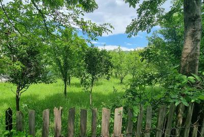 Spațiu comercial, în Brebu