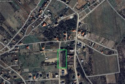 RECO Teren intravilat Paleu 850mp strada Prunilor RECO Teren intravilat Paleu 850mp strada Prunilor - 2