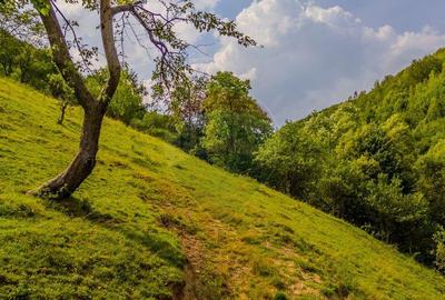 COMISION 0% Teren 11,381 mp Moieciu de Jos / Oportunitate... - 16