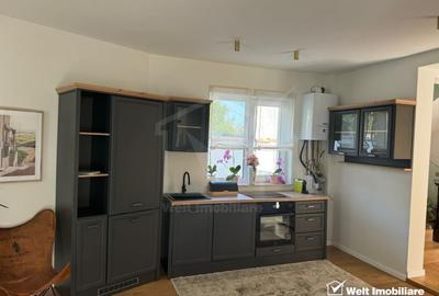 Casa individuala, Andrei Muresanu, terasa penthouse, parcare, curte - 14