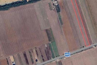 Teren agricol extravilan de 10000 mp, în Zădăreni - 3