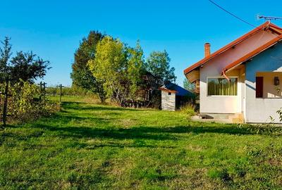Casa si teren de vanzare (6000 mp)