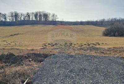 Teren de 633 mp, în Central - 11