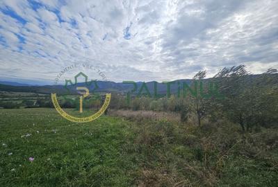 Teren de vanzare ,Tocile, Sibiu, case de vacanta si locuinte - 6