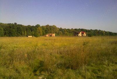 Intravilan in zona metropolitana Bucuresti (Domnesti-Teghes) - 2