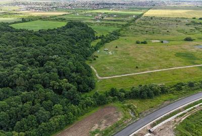 Teren Construcții intravilan de 625 mp, în Moșnița Veche - 2