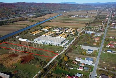 Teren de 10068 mp, în Băiculești - 7