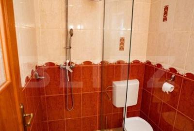 Casa de inchiriat, 3 camere, 180 mp, zona-ultracentrala - 19