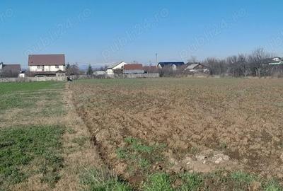 Teren de 7000 mp, în Brătășanca - 2