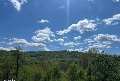 Casă cu 2 camere în Poienari - 2
