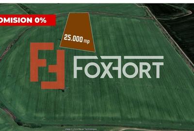 Teren agricol extravilan de 25000 mp, în Mehala
