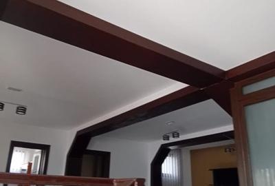 Casă individuală cu 10 camere cu Canalizare în Moșilor - 20