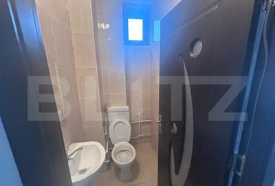 Spatiu comercial de inchiriat, 30 mp, zona Calea Severinului - 3