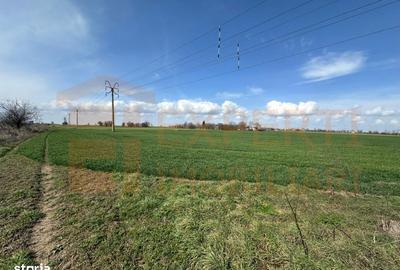 Spațiu comercial, în Valu lui Traian - 10