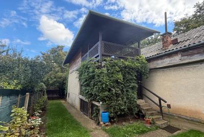 Casa de vinificatie in Viile Tieamului Carei - 28