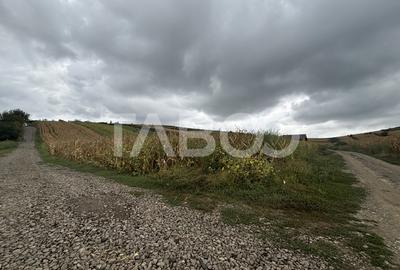 Teren de vanzare intravilan Sura Mare Sibiu 400 mp zona deosebita - 2