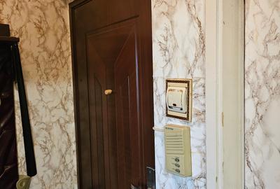 Apartament cu 2 camere semidecomandat în Giurgiului - 1