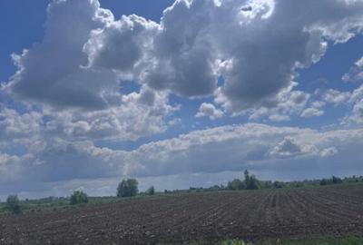 Teren extravilan, 7800mp, Burla - 5