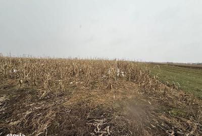 Teren de 7276 mp, în Putna - 2