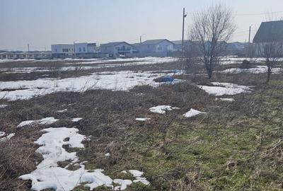 Teren de 400 mp, în Tunari - 1