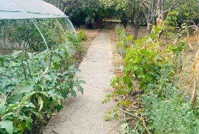 Teren agricol intravilan de 6300 mp, în Semicentral - 1