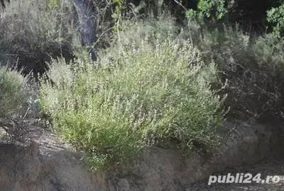 Apartament cu 2 camere decomandat în Central - 9