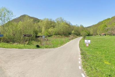 Teren de 5735 mp, în Ribița - 6