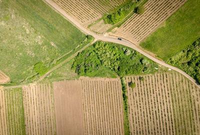 Teren extravilan - 3654 mp Dealul Șiriei - 4