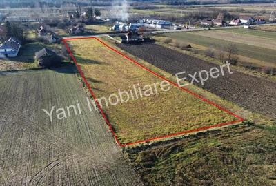 Teren de vanzare in comuna Baicule?ti, Jude? Arge?. - 7