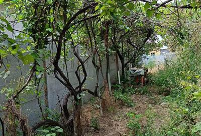 Casă cu 4 camere cu Teren 1090 Mp în Clinceni - 6