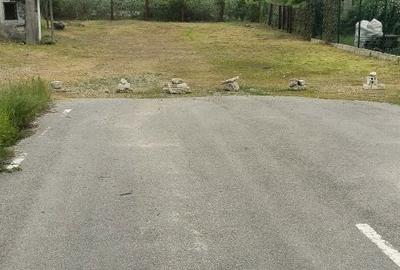 Spațiu comercial, în Jiblea Nouă - 1