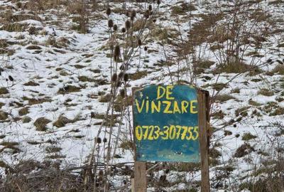 Vand 1HA teren intrav ptr case zona Balcescu langa cartierul RIVIERA, utilitati, sosea - 8