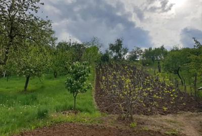 Casă cu 3 camere cu Teren 5000 Mp în Mozăceni