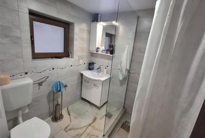 Casa individuala 3 camere 2 bai curte si garaj - zona Talmaciu - 11