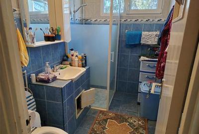 Apartament cu 2 camere semidecomandat, mobilat în Astra - 13