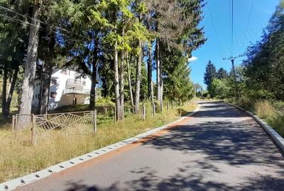 Casă cu 6 camere cu Teren 4950 Mp în Timișu de Sus - 1