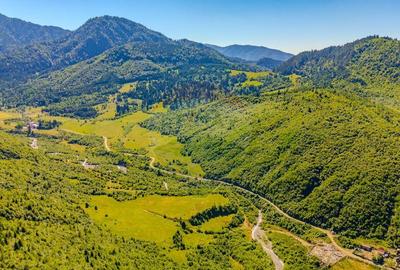 Teren 128.000 mp-Sacele-zona Garcini/ Intravilan - 1